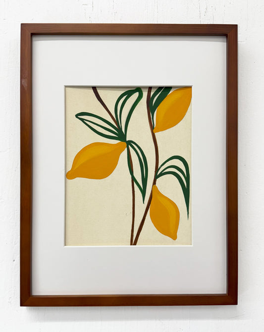 Lemon Study - Framed